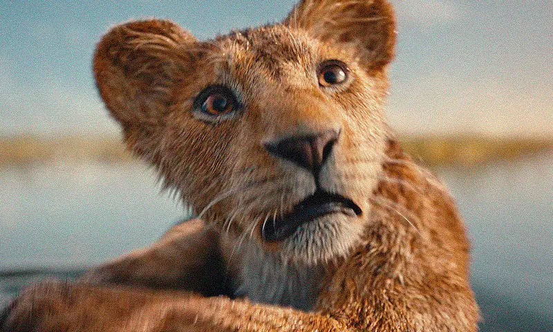 Кадр из фильма «Муфаса: Король Лев», где молодой Муфаса с тревожным взглядом оказался в воде.